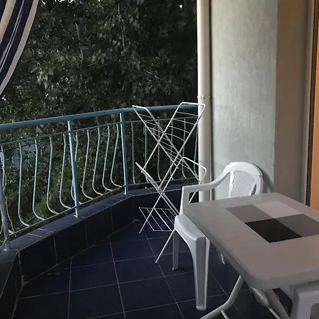 Violet Garden Słoneczny Brzeg